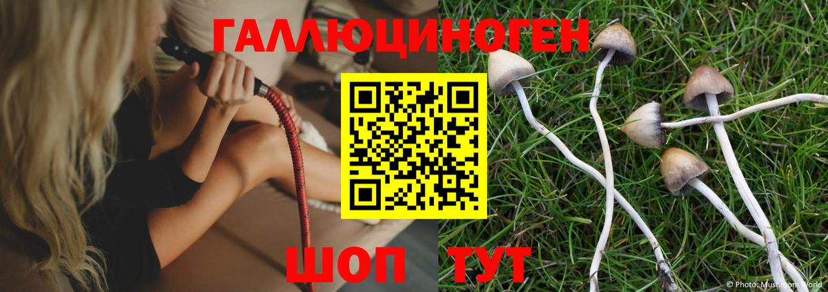 купить наркоту  Галлюциногенные грибы Cubensis  Вход с VPN  Старый Оскол 